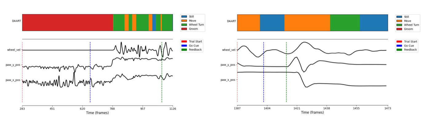 Per-trial predicted state timeline aligned with wheel velocity and paw position traces